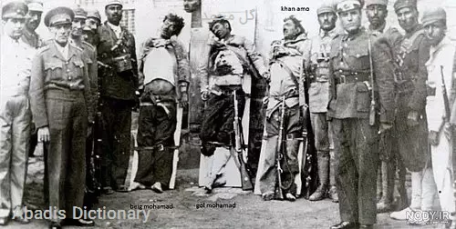 گل محمد